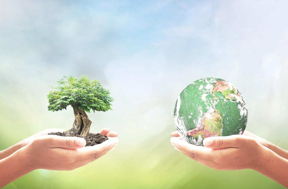 Environmental metaphor - hands holding a tree and the earth